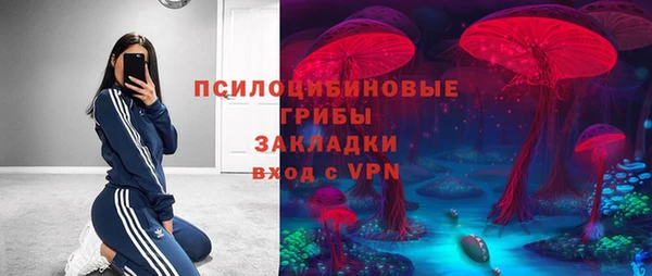 соль ск Абаза