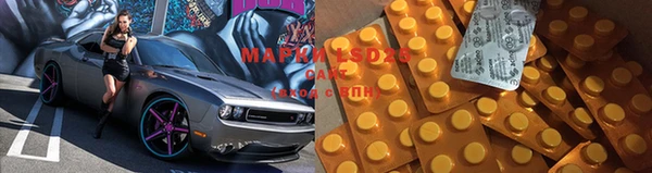дживик Пересвет