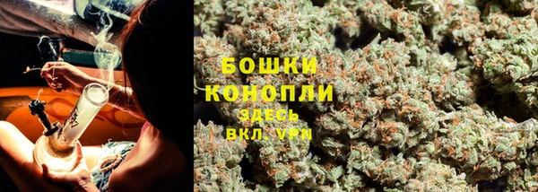 дживик Пересвет