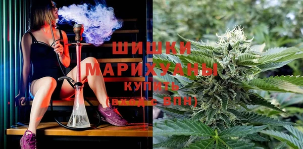 мдпв Переславль-Залесский