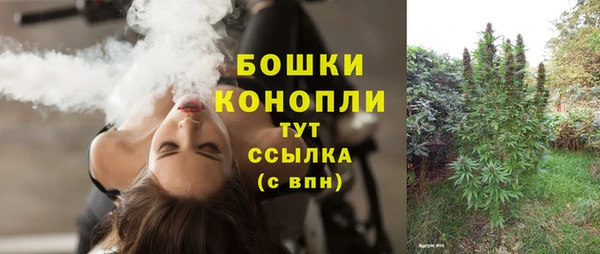 соль ск Абаза