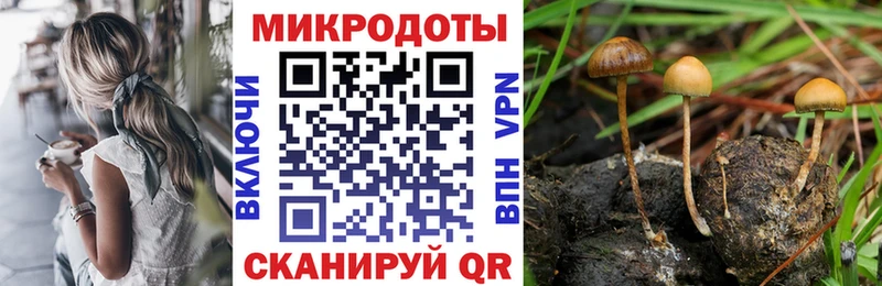Псилоцибиновые грибы прущие грибы Весьегонск